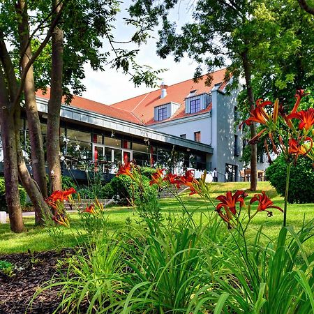 Arthotel Kiebitzberg Havelberg Zewnętrze zdjęcie