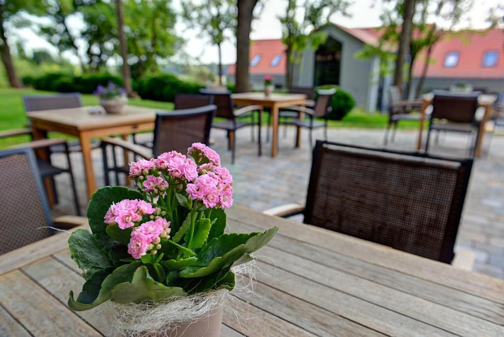 Arthotel Kiebitzberg Havelberg Zewnętrze zdjęcie